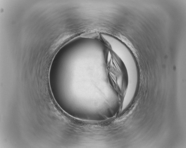 X0000088170577200706051119