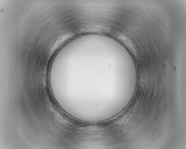 X0000088170578200706051119