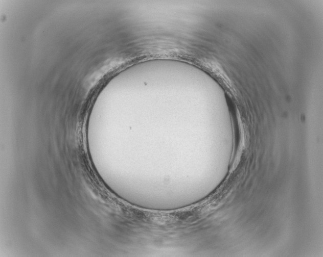 X0000088170579200706051119