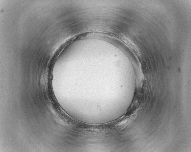 X0000088170580200706051119