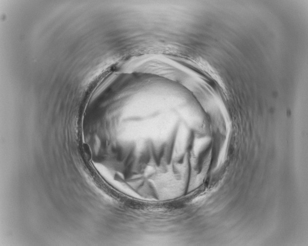 X0000088170581200706051119