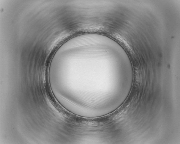 X0000088170582200706051119