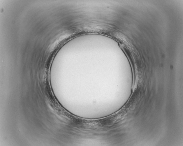 X0000088170583200706051119