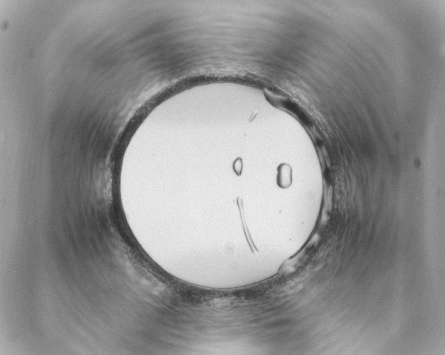 X0000088170584200706051119