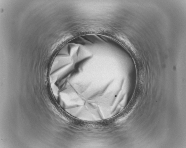 X0000088170585200706051119