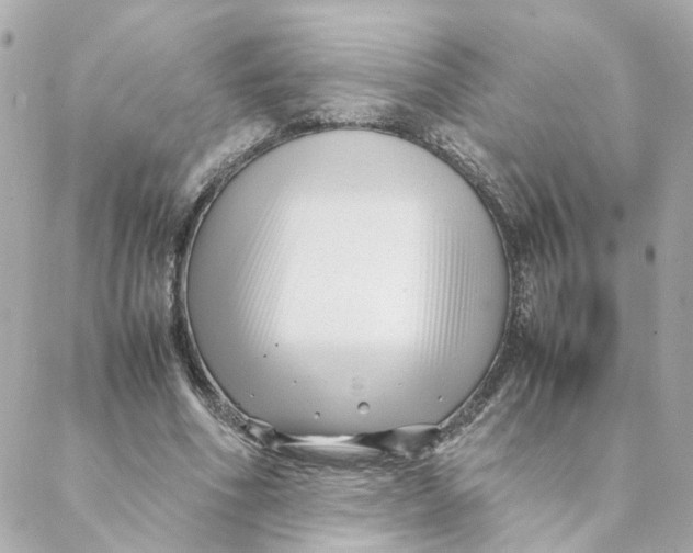 X0000088170586200706051119