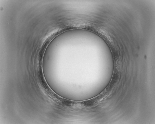 X0000088170587200706051118