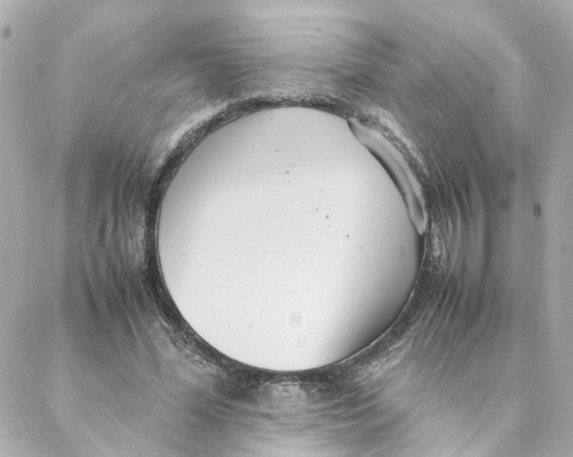 X0000088170588200706051118