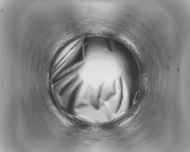 X0000088170589200706051118