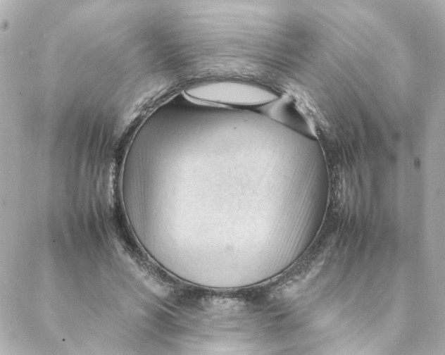 X0000088170590200706051118