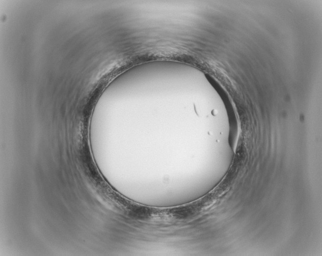 X0000088170591200706051118