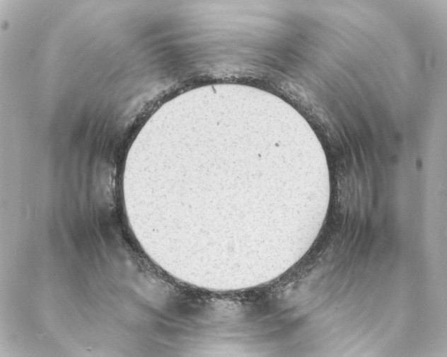 X0000088170592200706051118