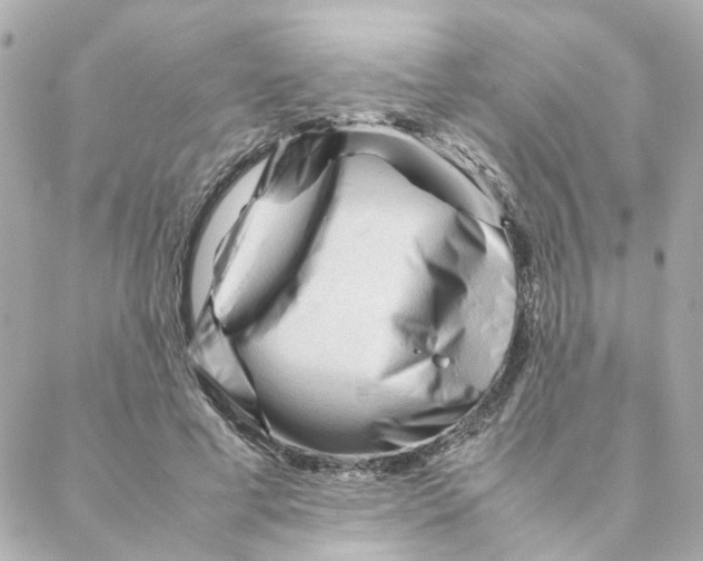 X0000088170593200706051118