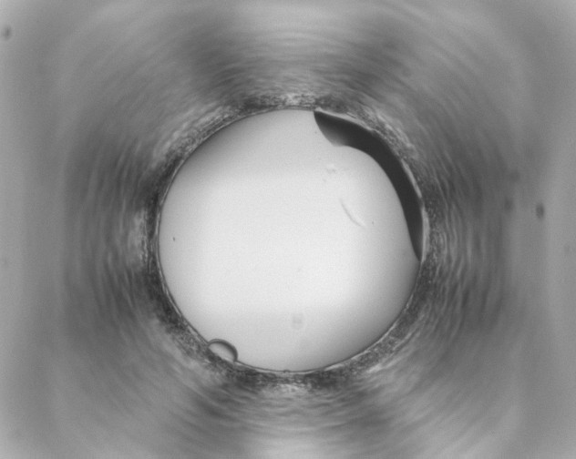 X0000088170594200706051118