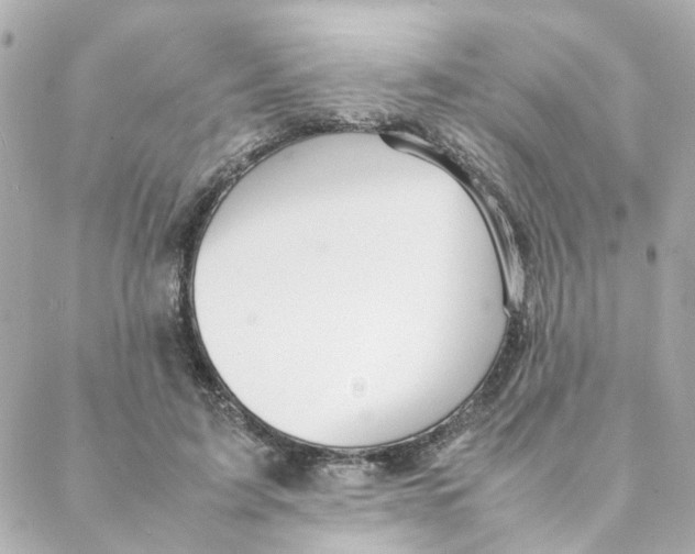 X0000088170595200706051118