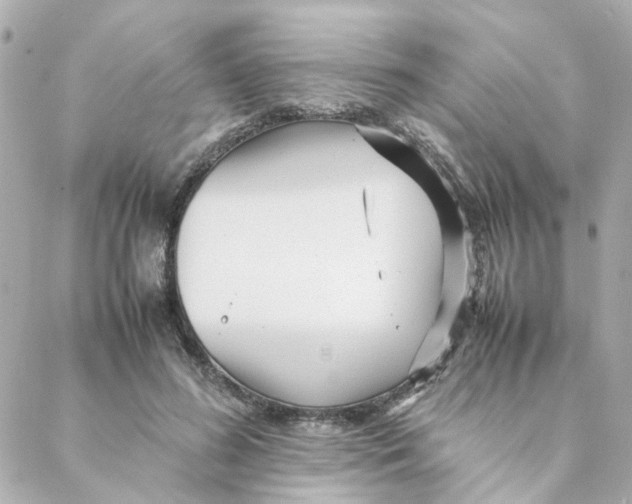 X0000088170596200706051118