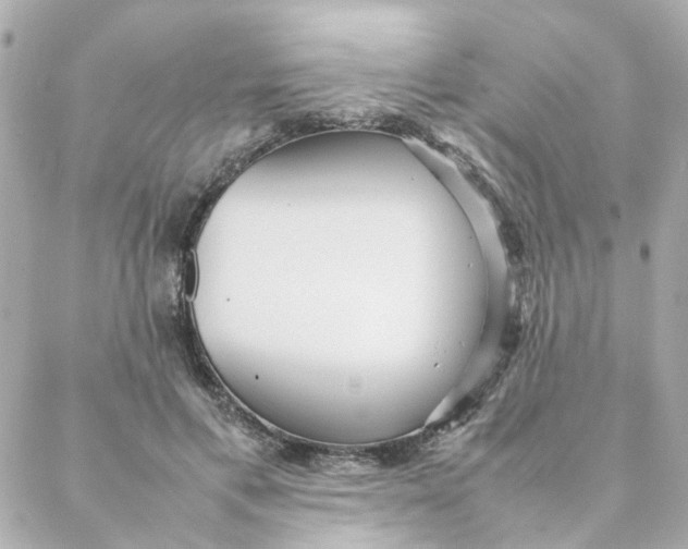 X0000088170597200706051118