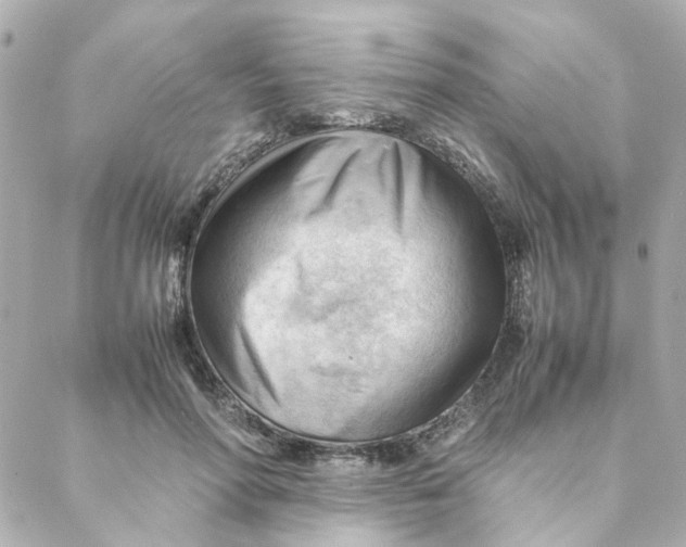 X0000088170598200706051118