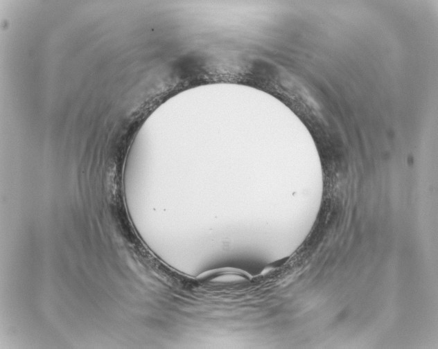 X0000088170599200706051118