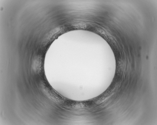 X0000088170600200706051118