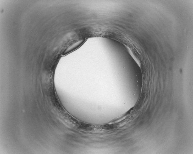 X0000088170601200706051118