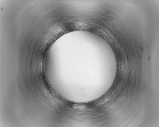 X0000088170602200706051118