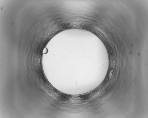 X0000088170603200706051118