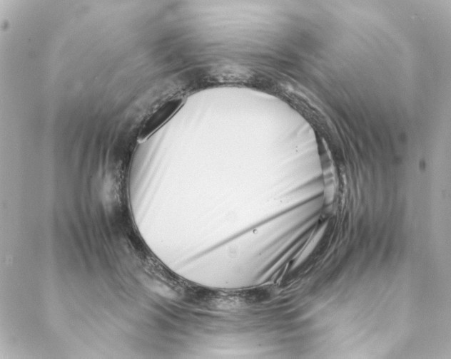 X0000088170604200706051118