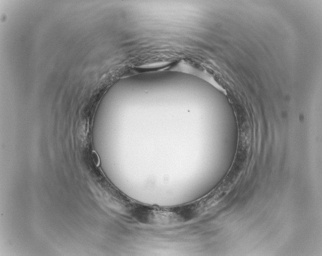 X0000088170605200706051118