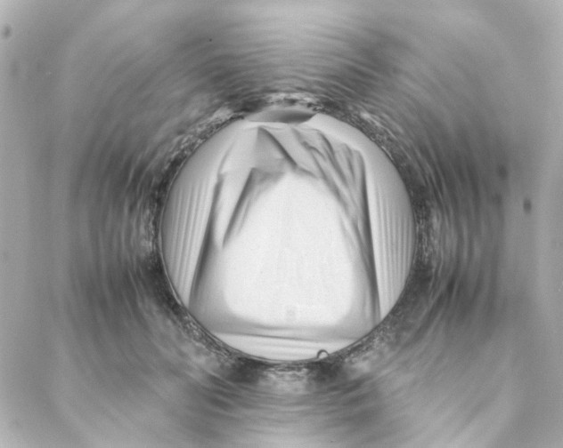 X0000088170606200706051118