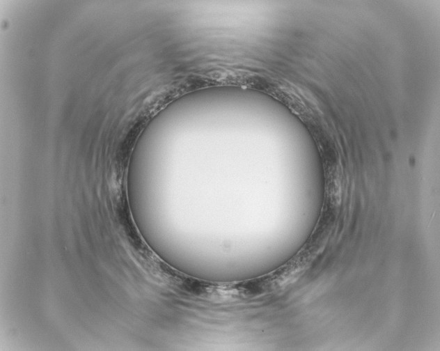 X0000088170607200706051118