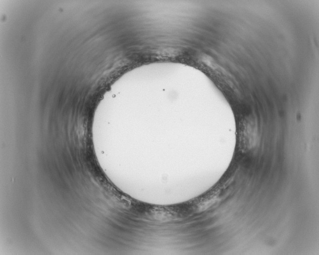 X0000088170608200706051118