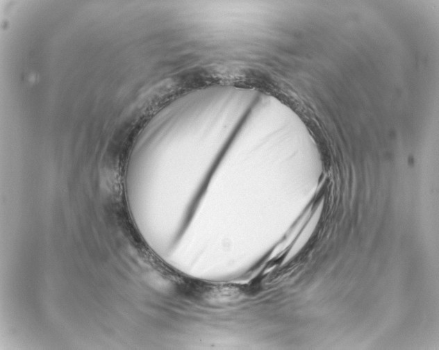 X0000088170609200706051118