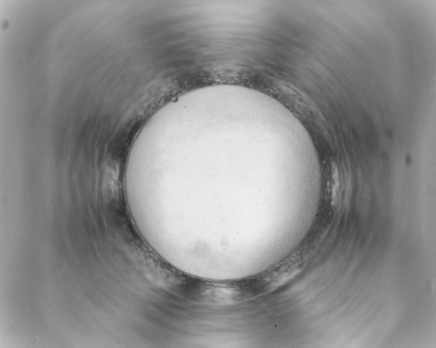 X0000088170610200706051118