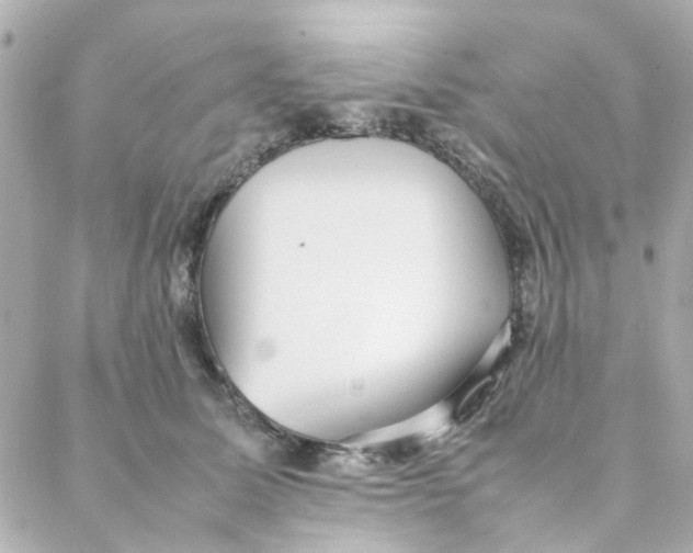 X0000088170611200706051118