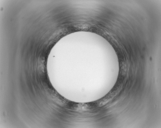 X0000088170612200706051118