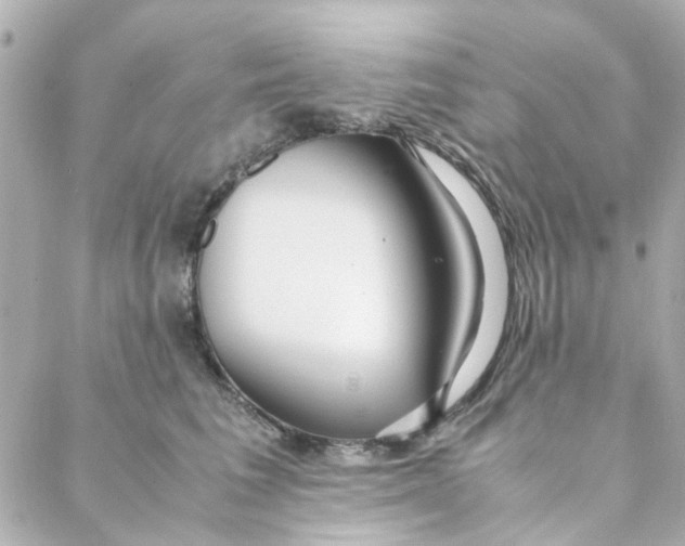 X0000088170613200706051118