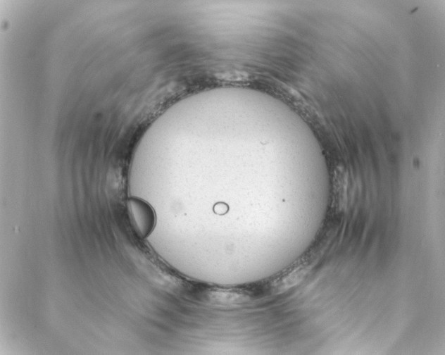 X0000088170614200706051118