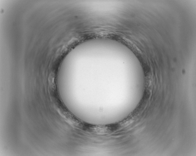 X0000088170615200706051118