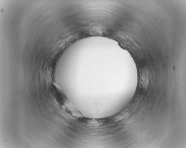 X0000088170616200706051118