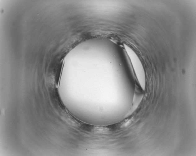 X0000088170617200706051118