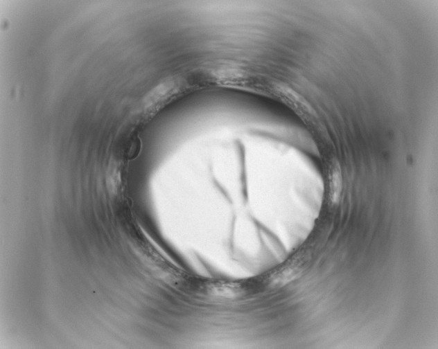 X0000088170618200706051118