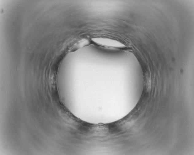 X0000088170619200706051118