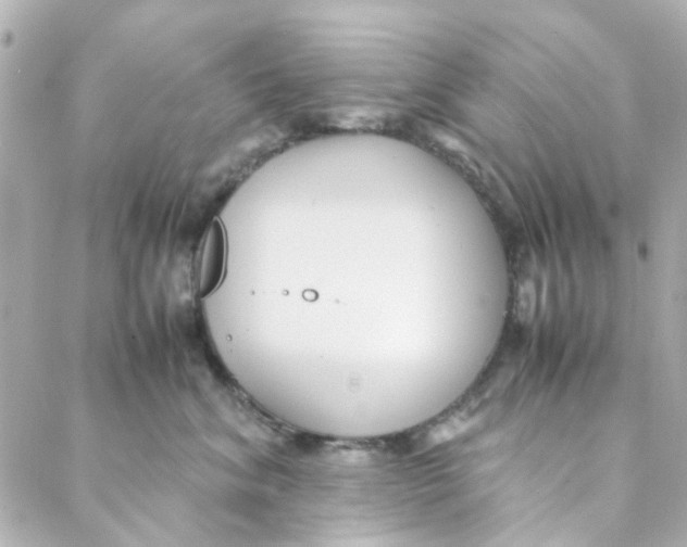 X0000088170620200706051118