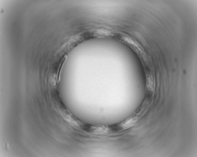 X0000088170621200706051118