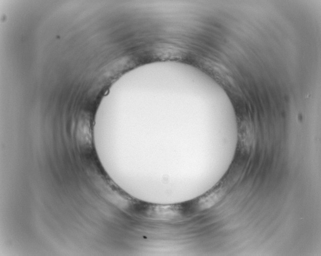 X0000088170622200706051118