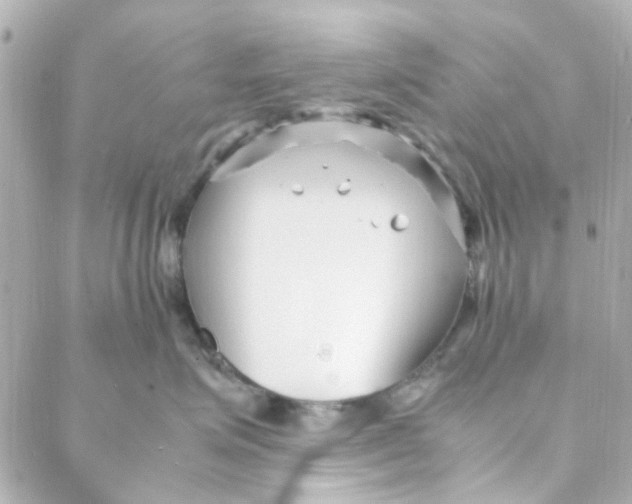 X0000088170623200706051118