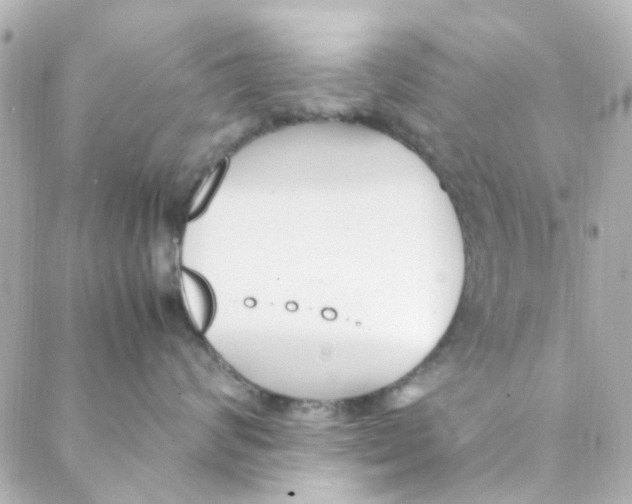 X0000088170624200706051118