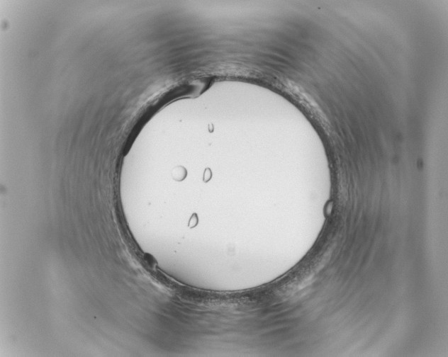 X0000088170625200706051117