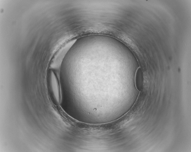 X0000088170626200706051117